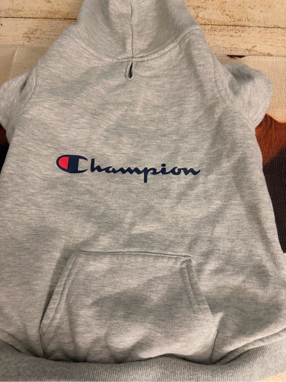 NWOT Pet Champion Light Gray Hoodie with Navy & Red Logo size Large - Picture 2 of 3